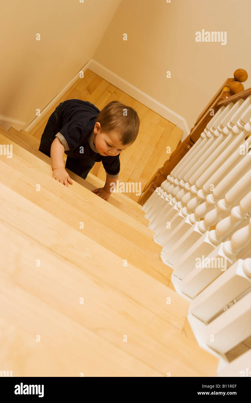 Baby climbing some stairs Stock Photo Alamy