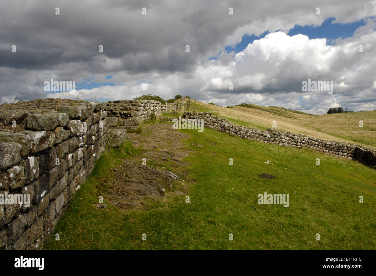 Hadrian s Wall at Cawfields Northumberland England UK Stock Photo - Alamy