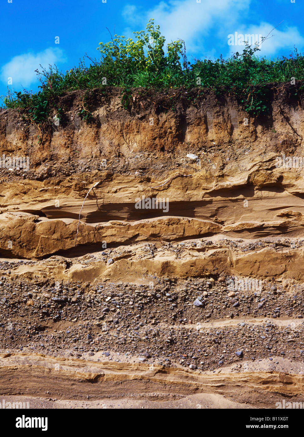 Soil strata on cliff Stock Photo
