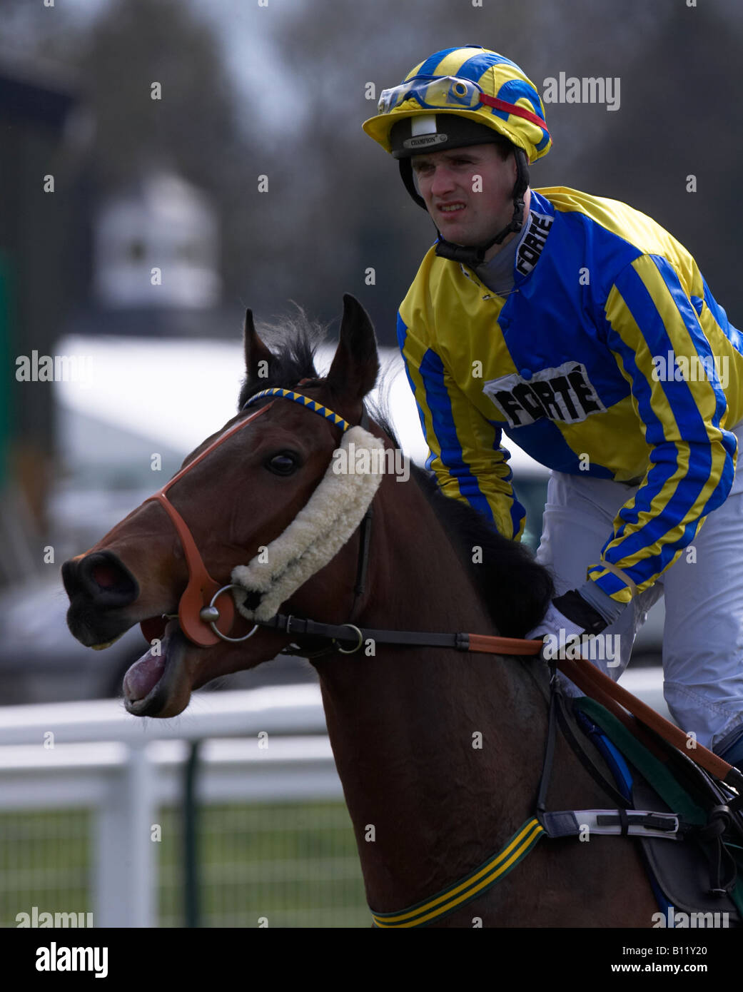 Horse racing jockey and horse Stock Photo - Alamy