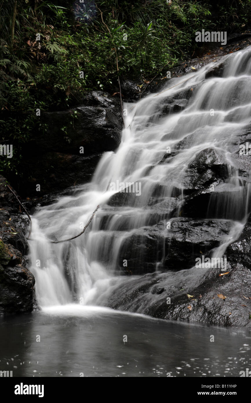 WATERFALL SUNSHINE COAST HINTERLAND QUEENSLAND AUSTRALIA VERTICAL BDB10031 Stock Photo Alamy