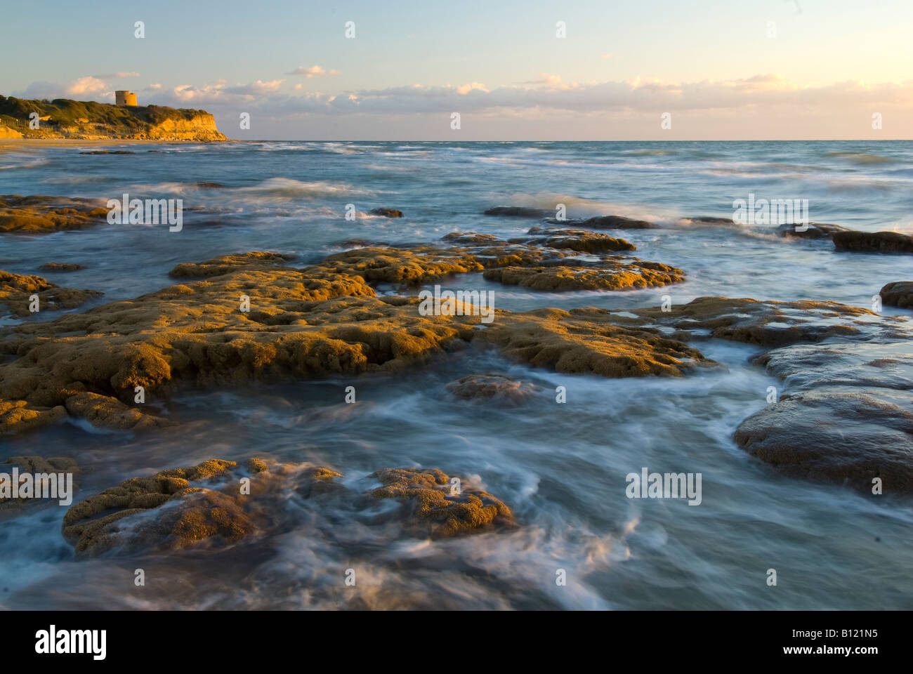 Tor Caldara Beach, Roma Lazio, Italy, Sabella alveolata costal reef, anellidae Stock Photo