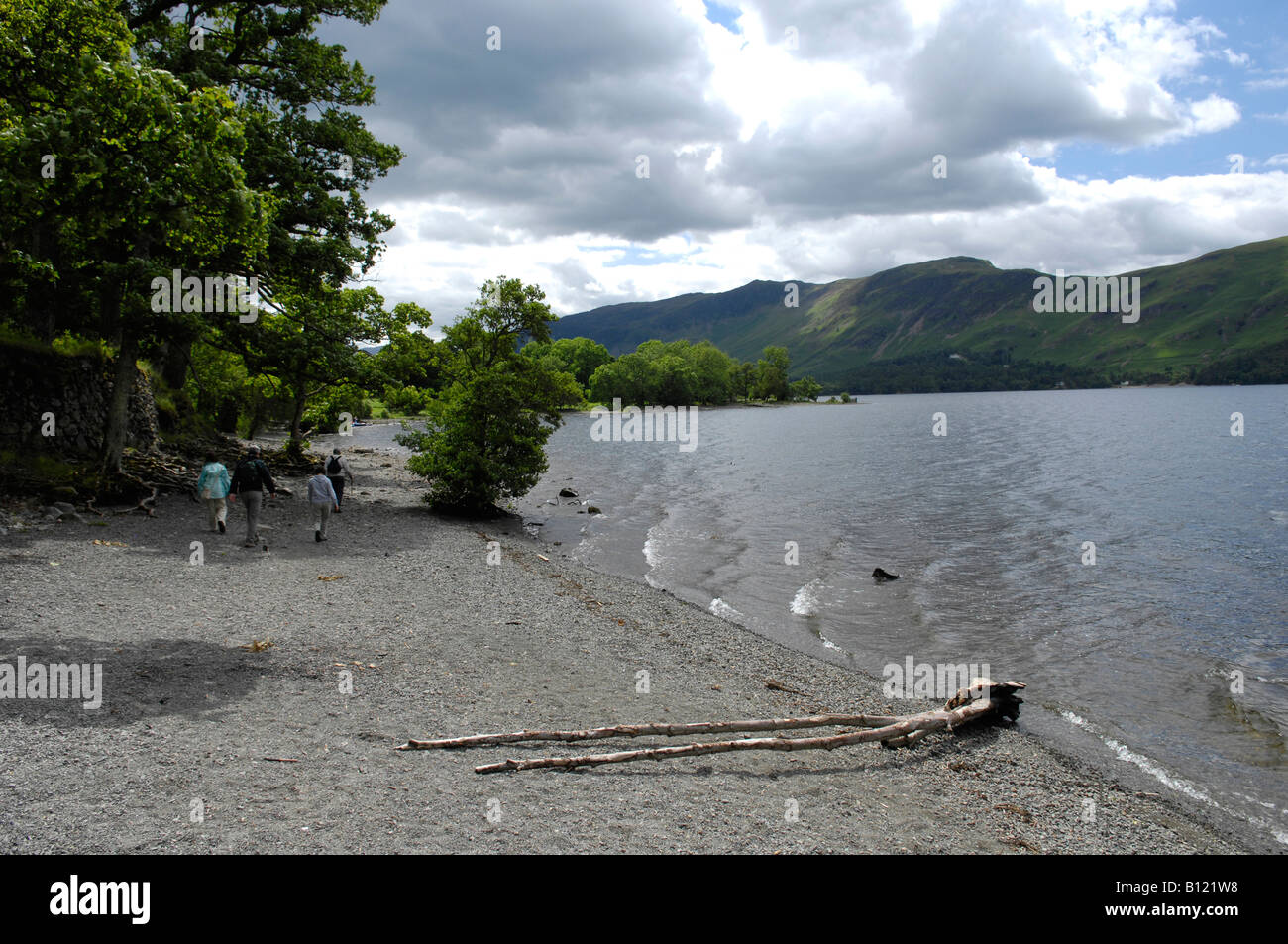 The shore of Derwent Water Lake District Cumbria England UK Stock Photo