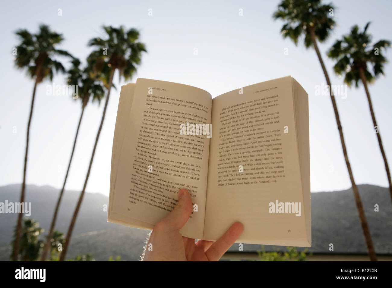 Reading a book on holiday - Palm trees behind. Stock Photo