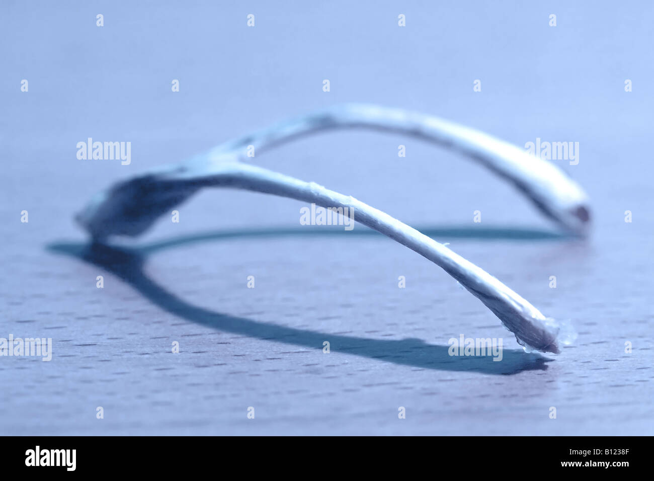 wish bone concept Stock Photo - Alamy