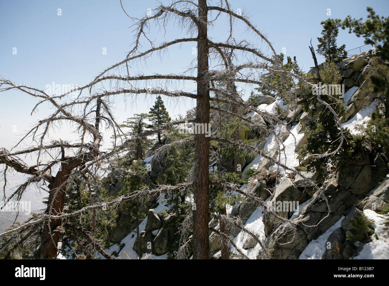Mount San Jacinto State Park, at the top of the Palm Springs Aerial Tramway, California USA. Stock Photo