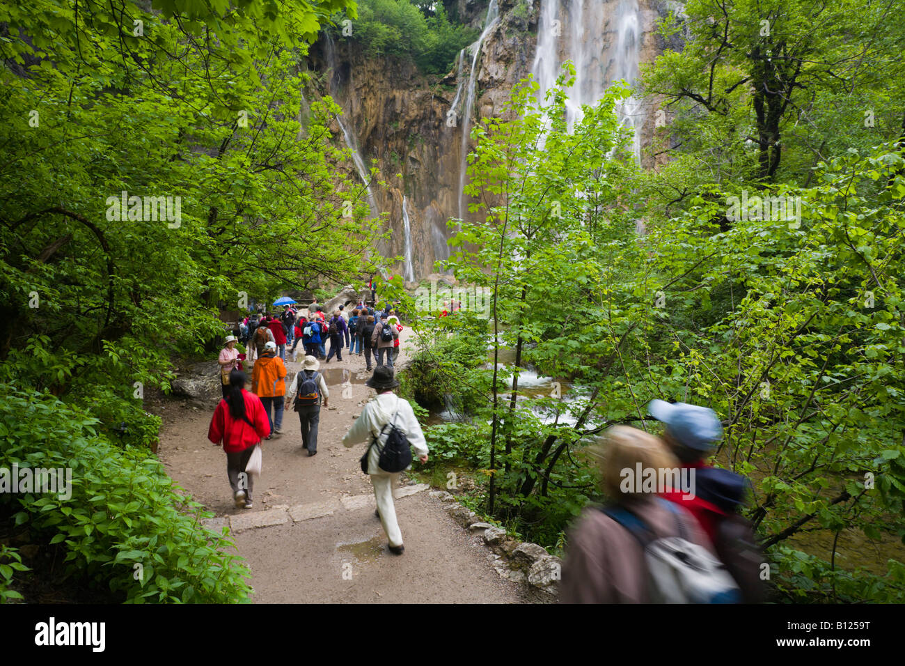 Big waterfall ('Veliki slap') famous sightseeing place with many visitors, Plitvice national park in Croatia, Lower lakes area Stock Photo