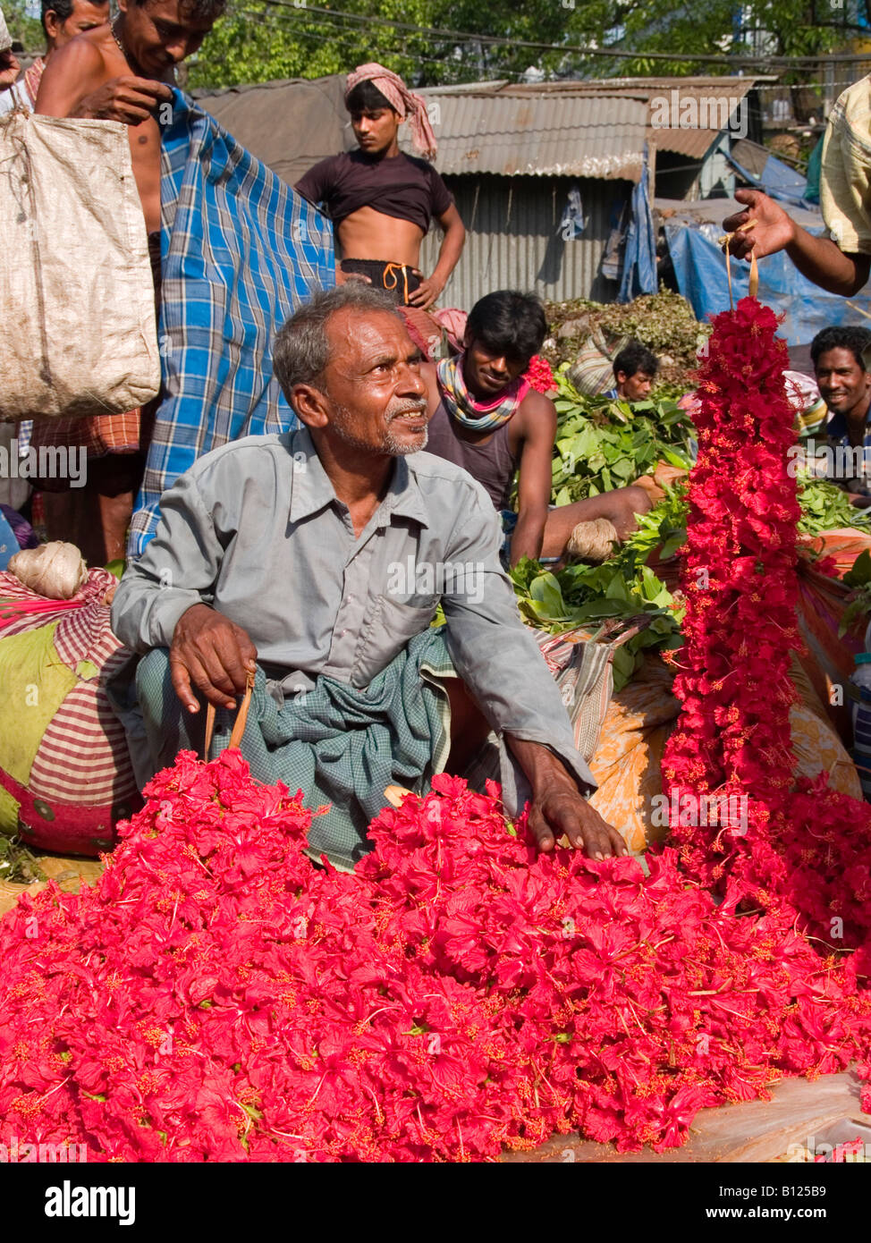 Bengali flower seller in Calcutta Stock Photo Alamy