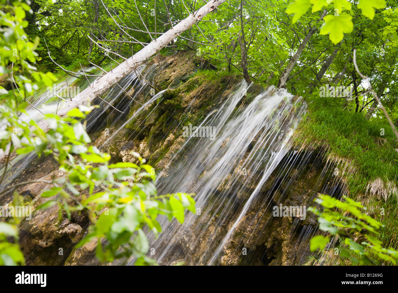 Top of waterfall through dense foliage, Plitvice national park in Croatia, Upper lakes area Stock Photo
