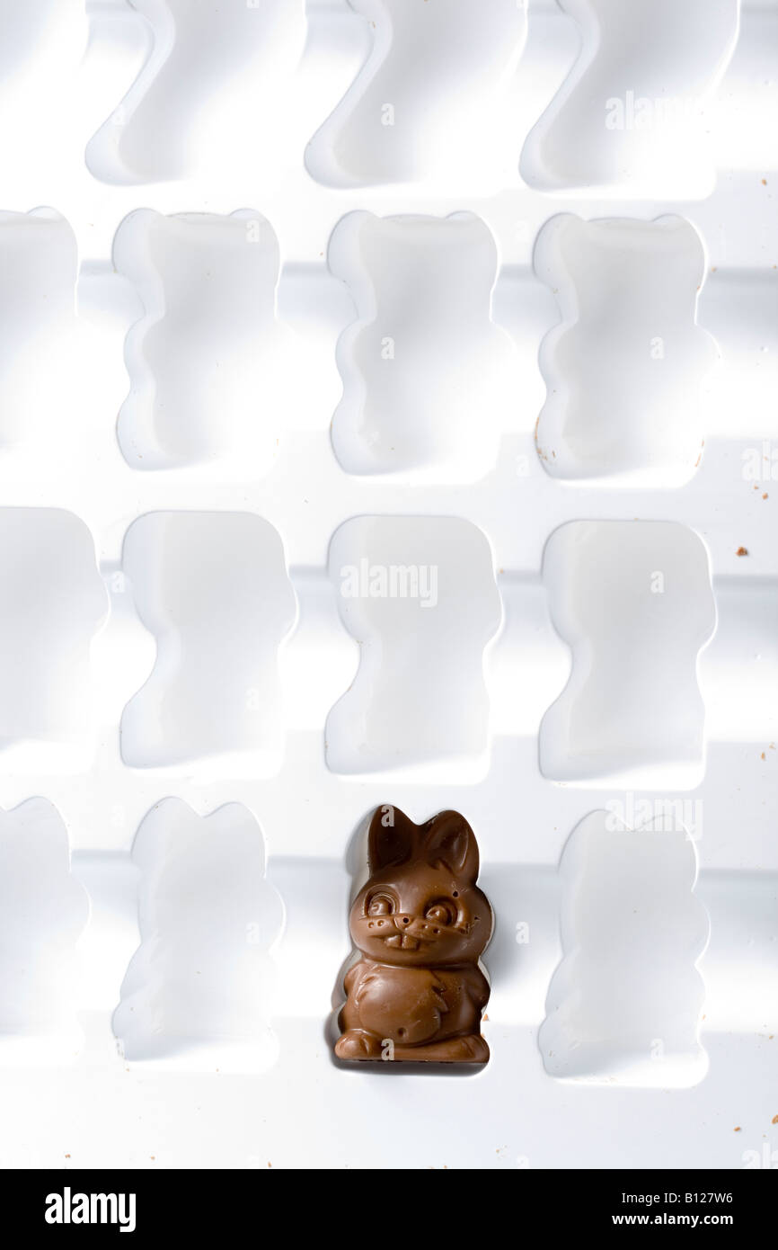 last chocolate bunny Stock Photo