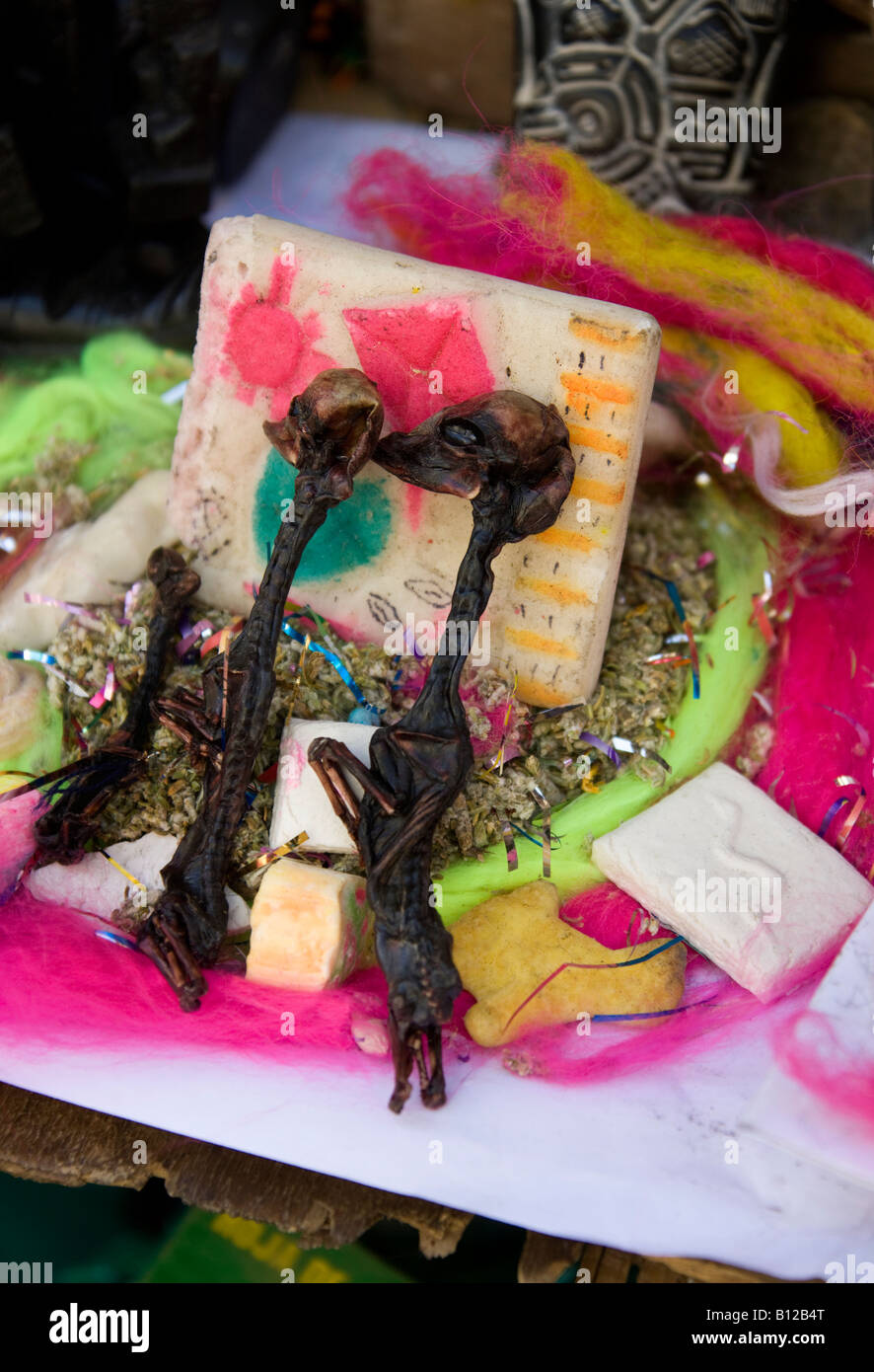 Aborted Llama fetus at the Witches Market in La Paz in Bolivia. Stock Photo