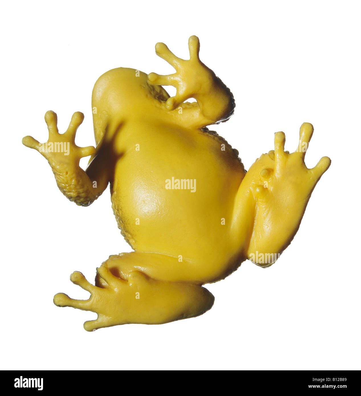 Toy frog hi-res stock photography and images - Alamy