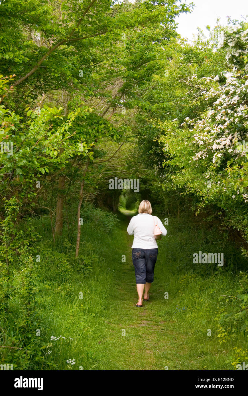 A Woman Walking alone Through woodland Pathway,Suffolk,Uk Stock Photo ...
