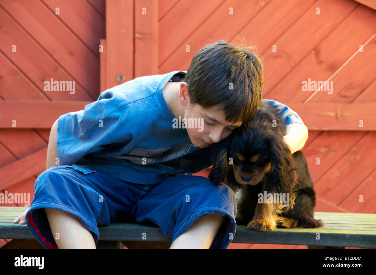 A young boy and his dog The dog is a king charles cavalier Stock Photo