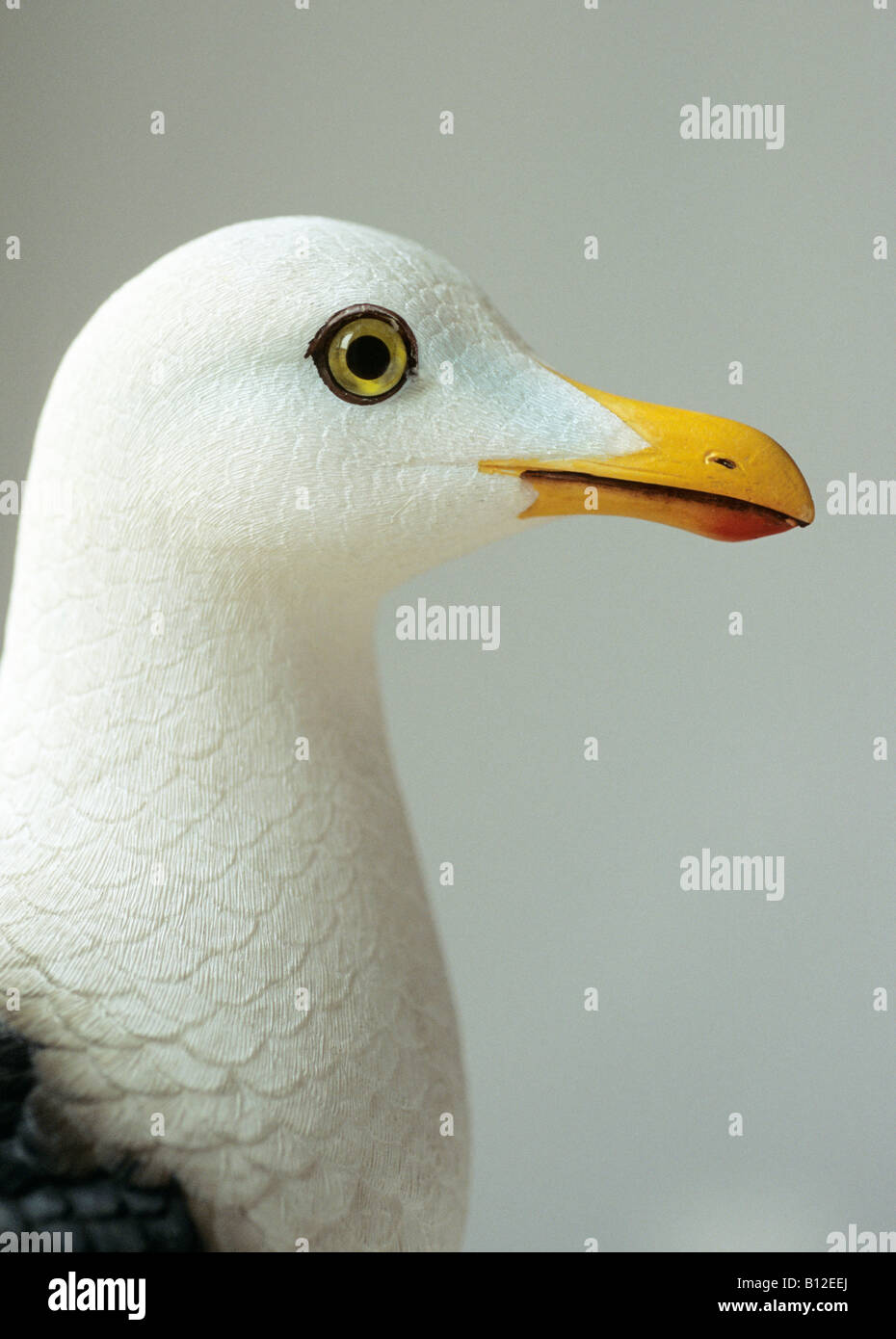 decoy seagull Stock Photo 17880314 Alamy