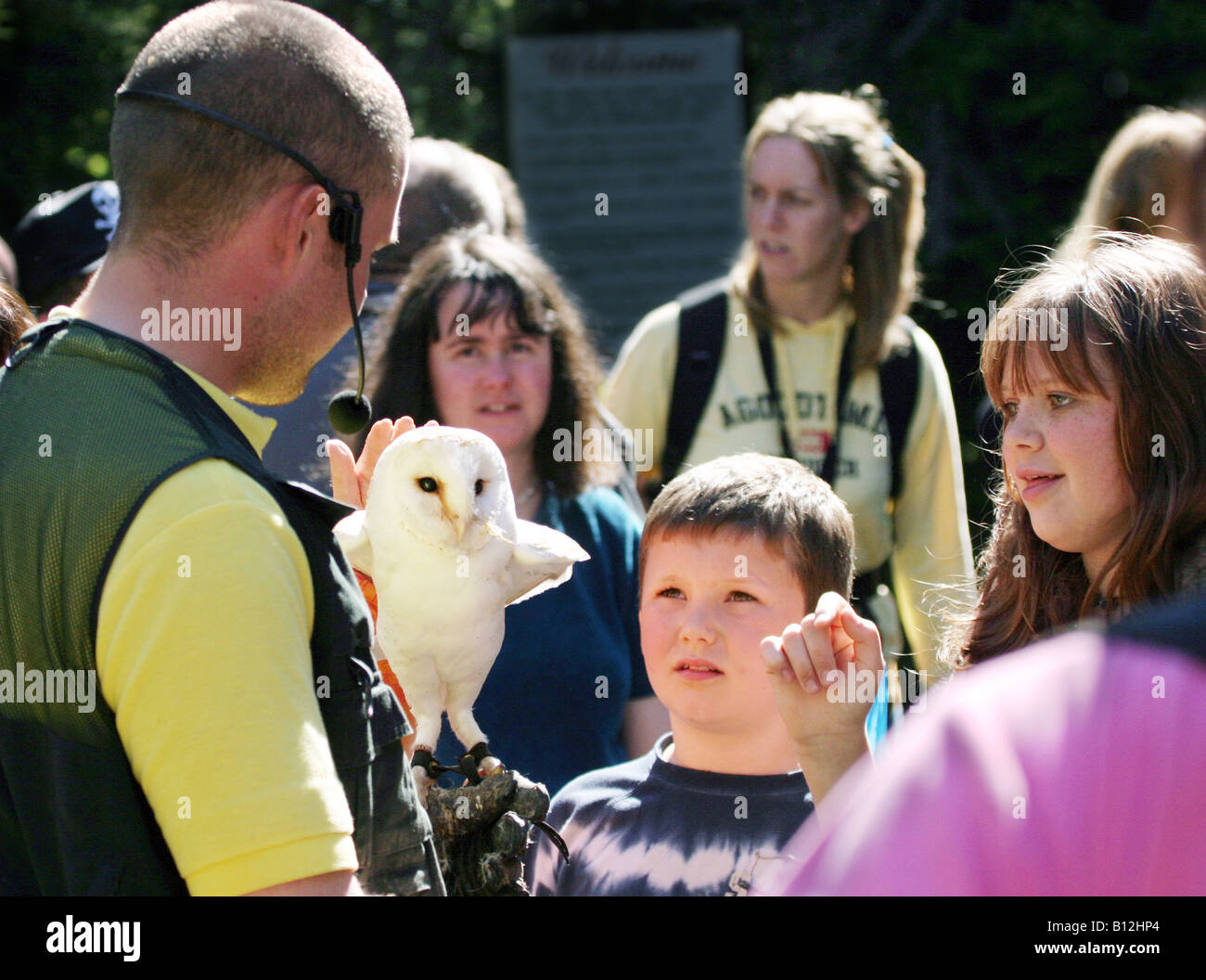 A handler showing a Barn Owl to children at a zoo, Linton Zoo, Cambridgeshire England UK Stock Photo