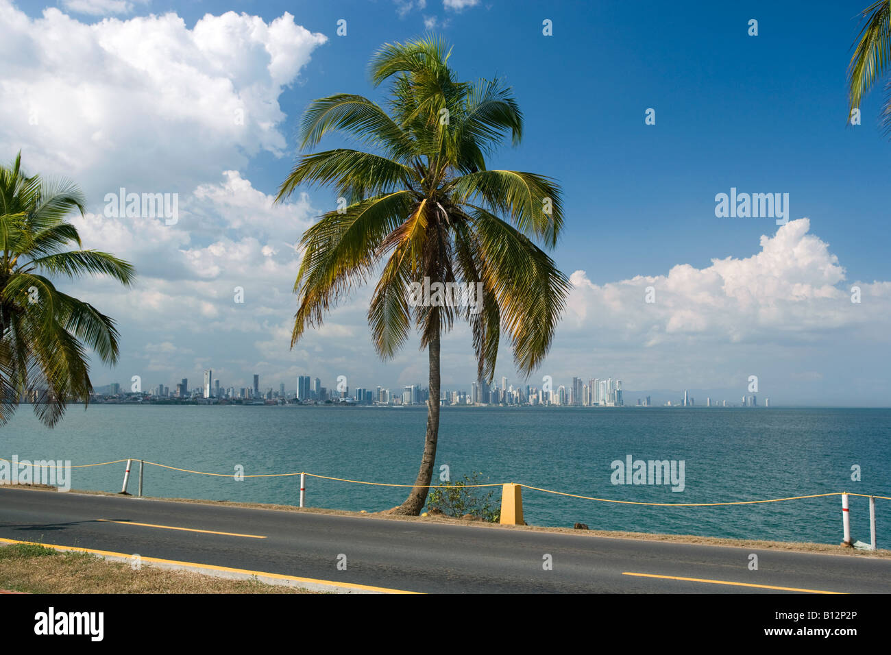 BAY SKYLINE PALMS AMADOR CAUSEWAY PANAMA CITY REPUBLIC OF PANAMA Stock  Photo - Alamy, image size:1300x956