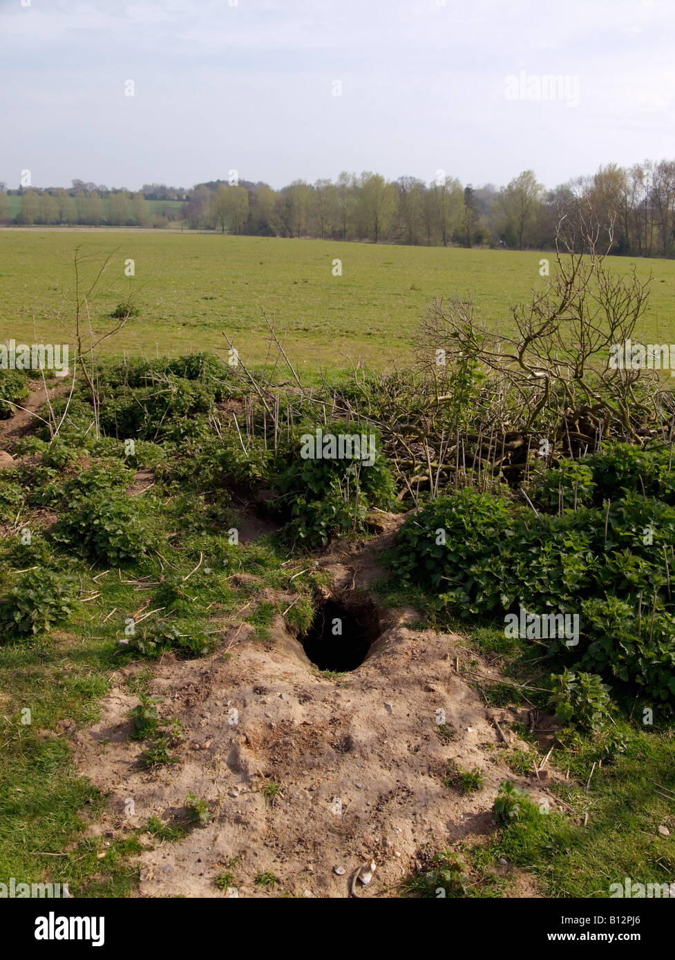 Rabbit Warren, Fordham, Essex Stock Photo Alamy