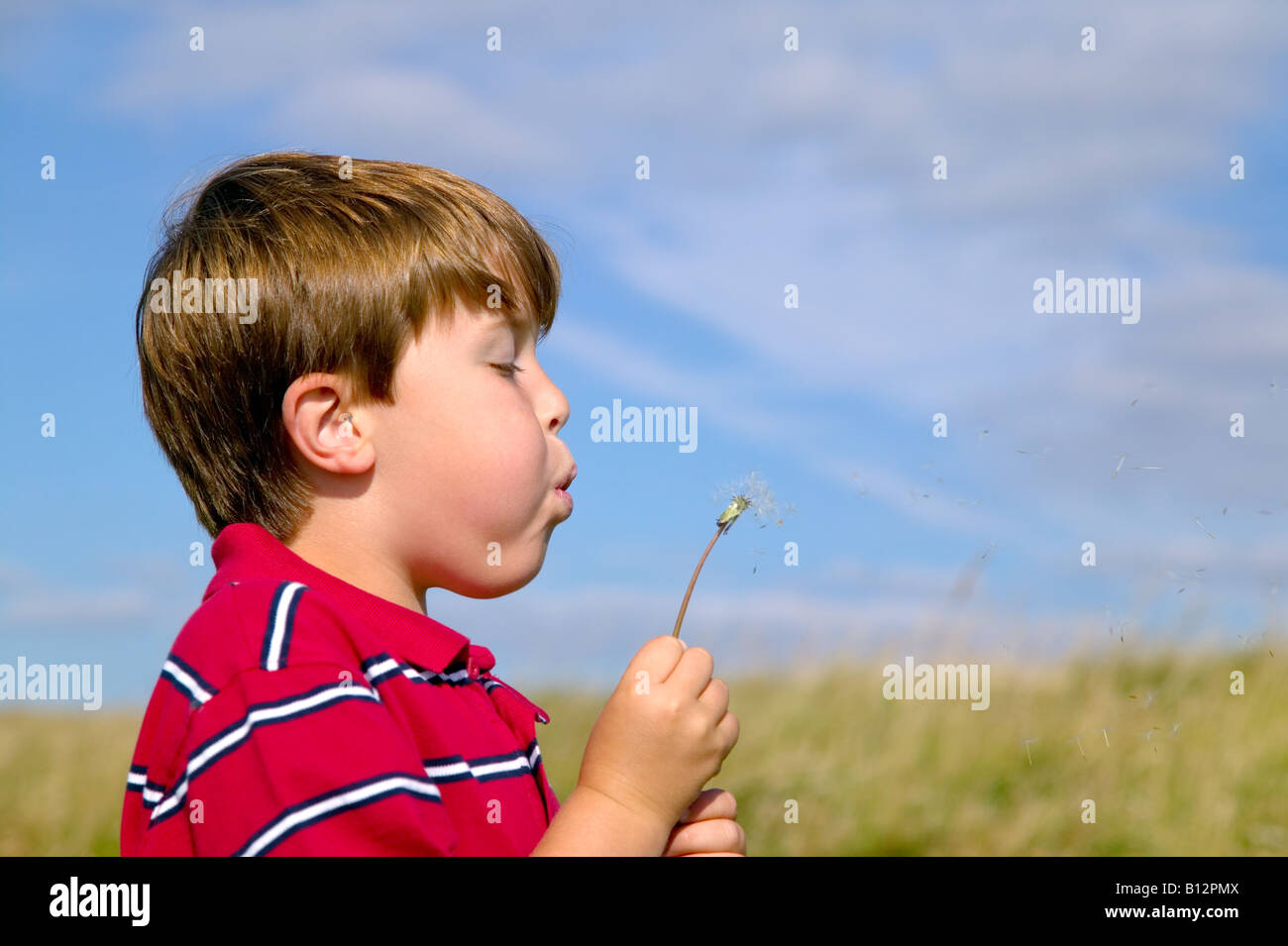 Young boy blowing theseeds from a dandelion head Stock Photo