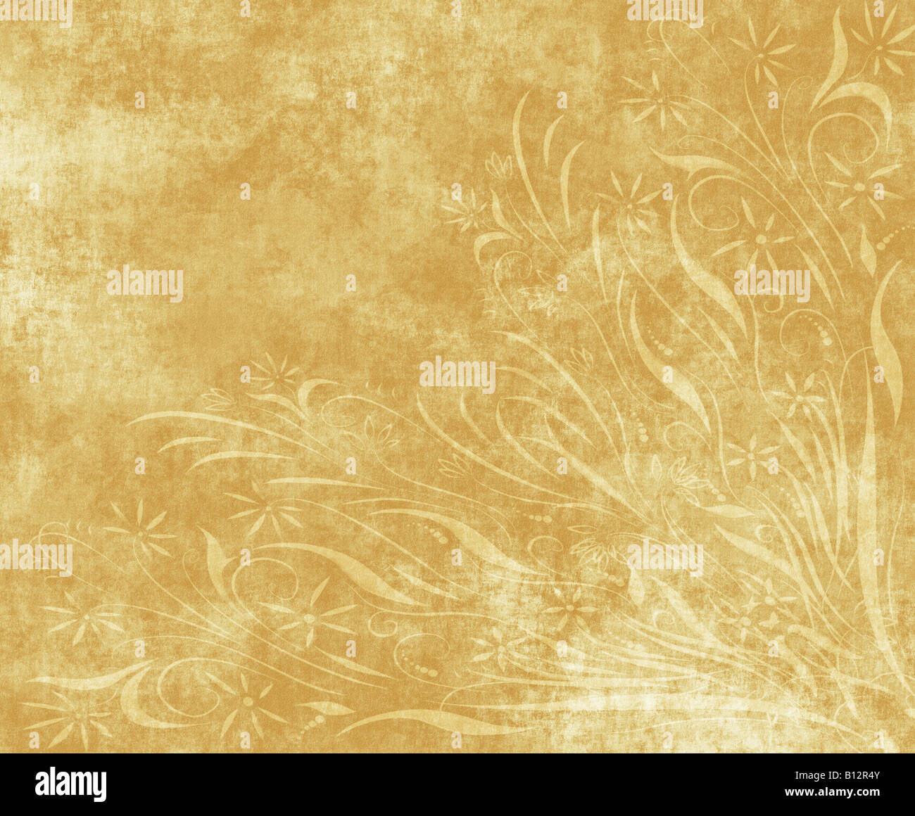 https://c8.alamy.com/comp/B12R4Y/large-old-paper-or-parchment-background-texture-with-floral-design-B12R4Y.jpg