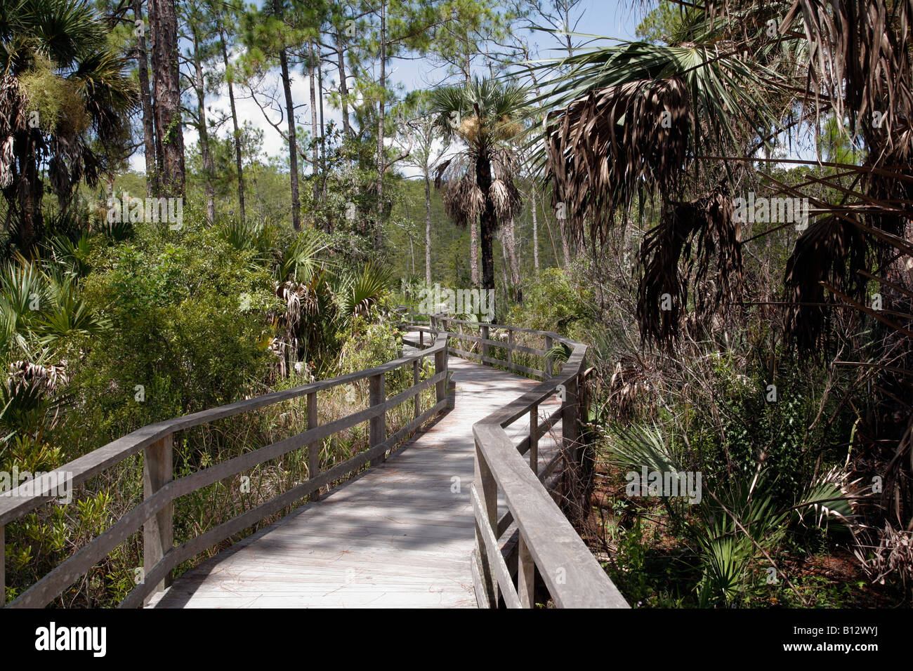 Corkscrew audubon wildlife sanctuary hires stock photography and images Alamy