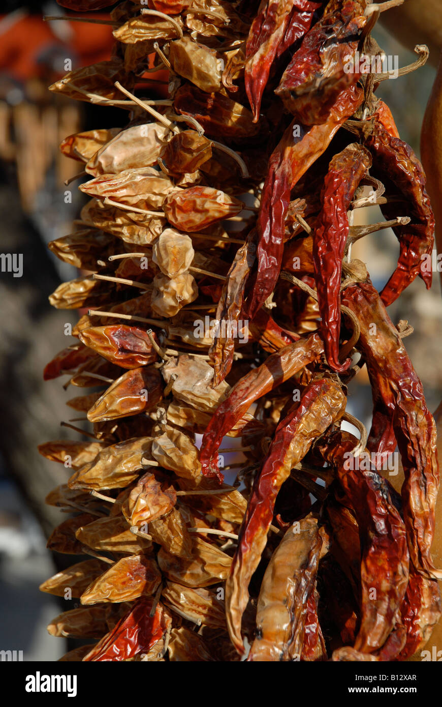 Dried red chillies hi-res stock photography and images - Alamy