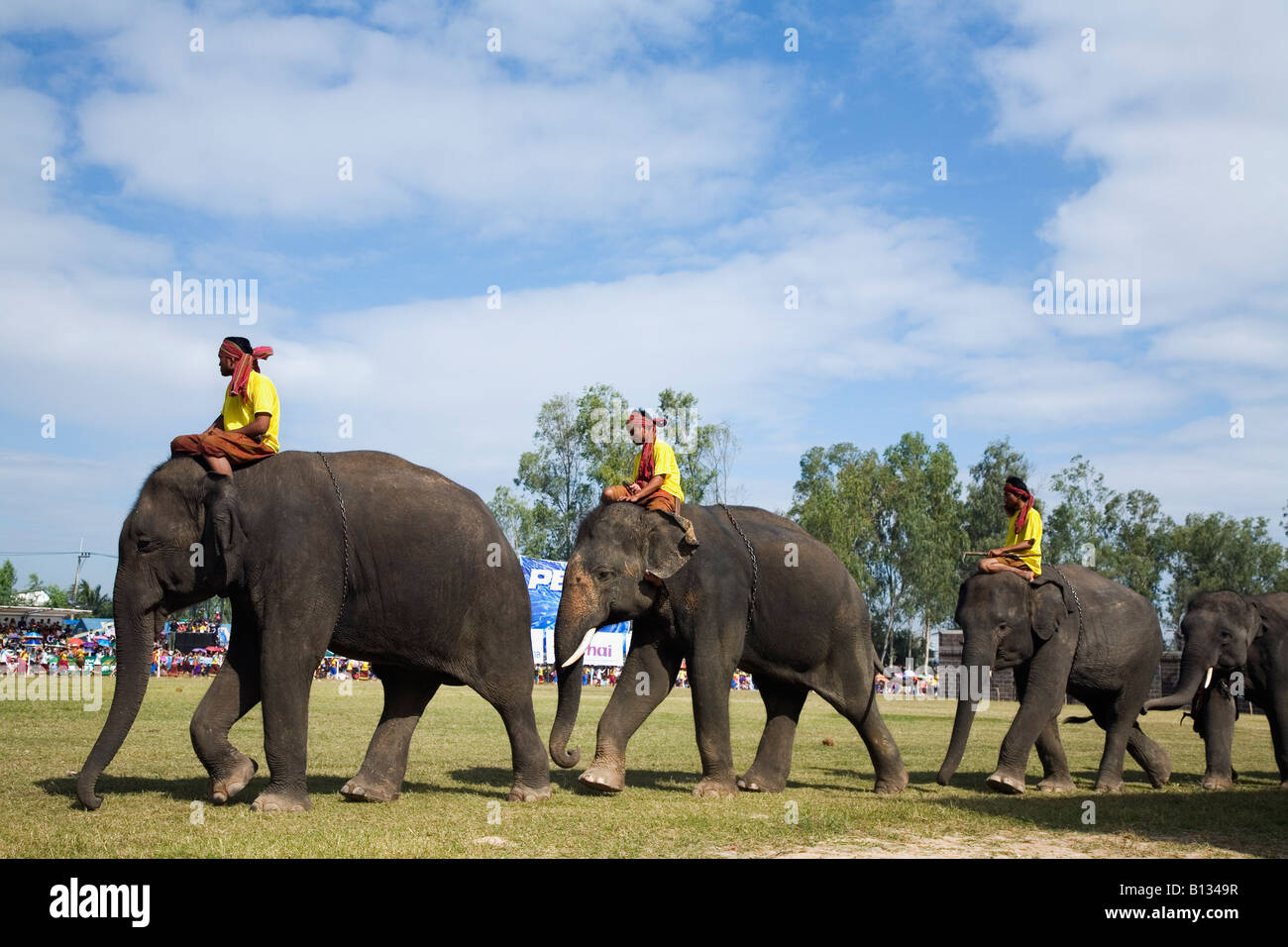 Surin Elephant Round-up - Surin, Surin province, THAILAND Stock Photo