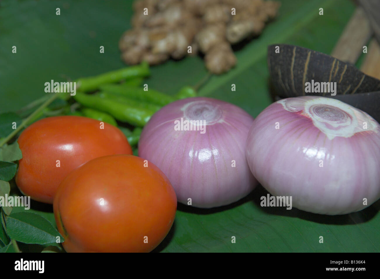 Closeup onions and tomatoes other vegetables chilli peppers ginger ready for preparation shallow DOF Stock Photo