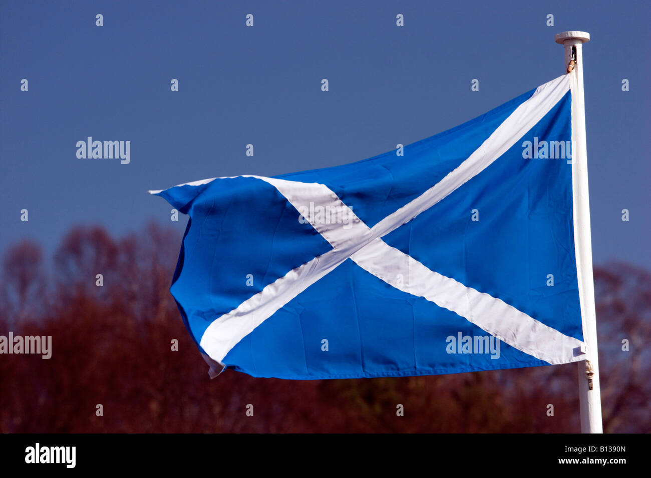 A Scottish flag is blowing in the wind. Stock Photo