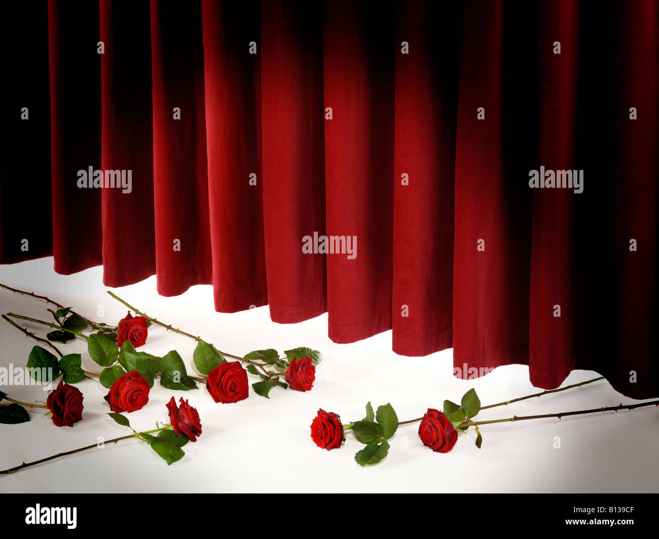 THEATRE CURTAIN CALL WITH RED ROSES Stock Photo