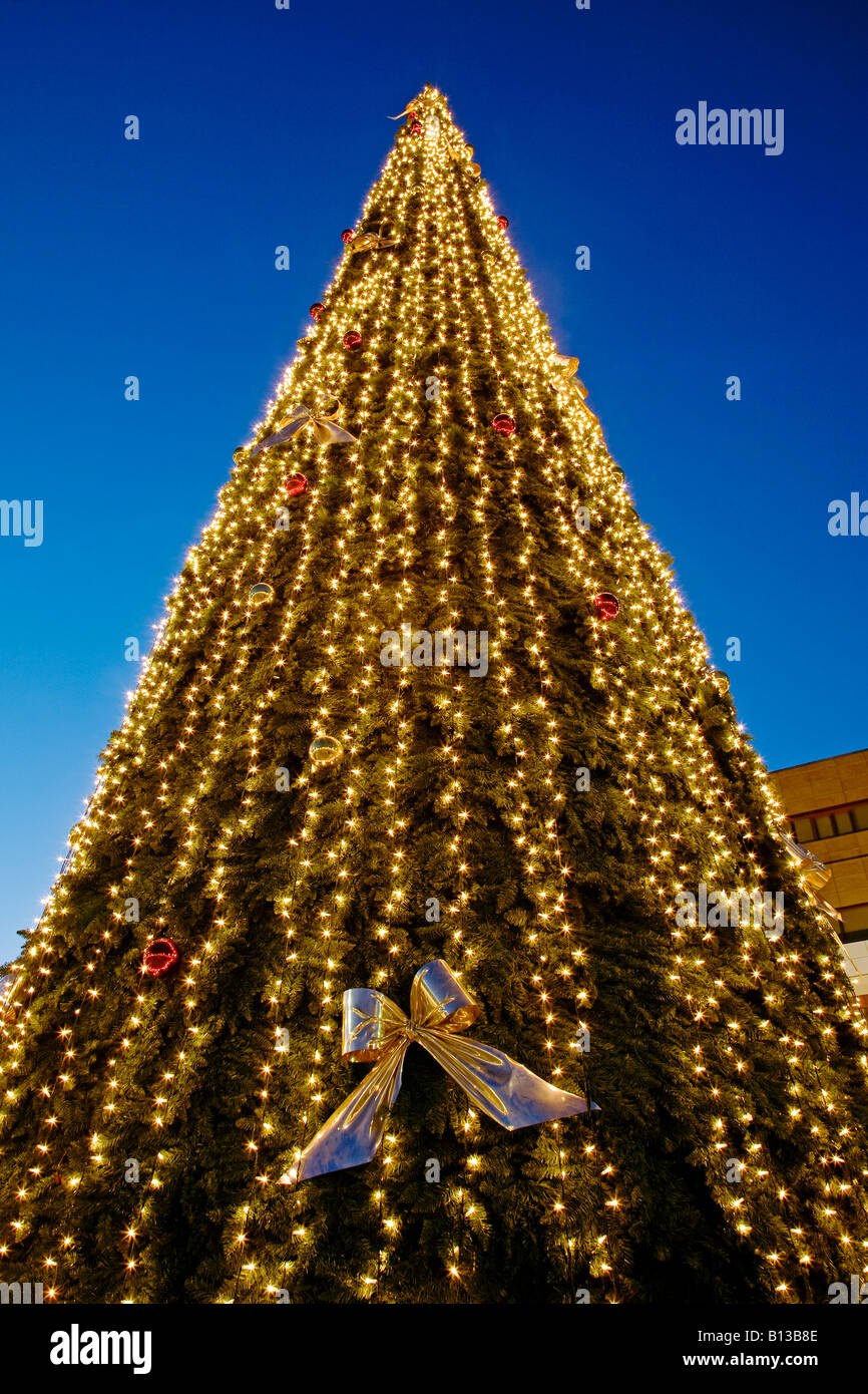 Giant Christmas tree decorated with lights Stock Photo Alamy