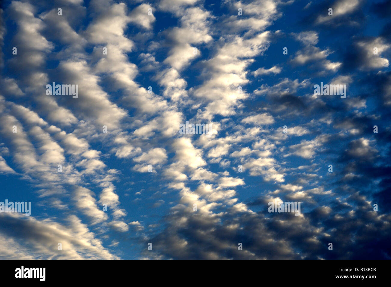 Blue Sky with Cumulus Clouds Stock Photo - Alamy
