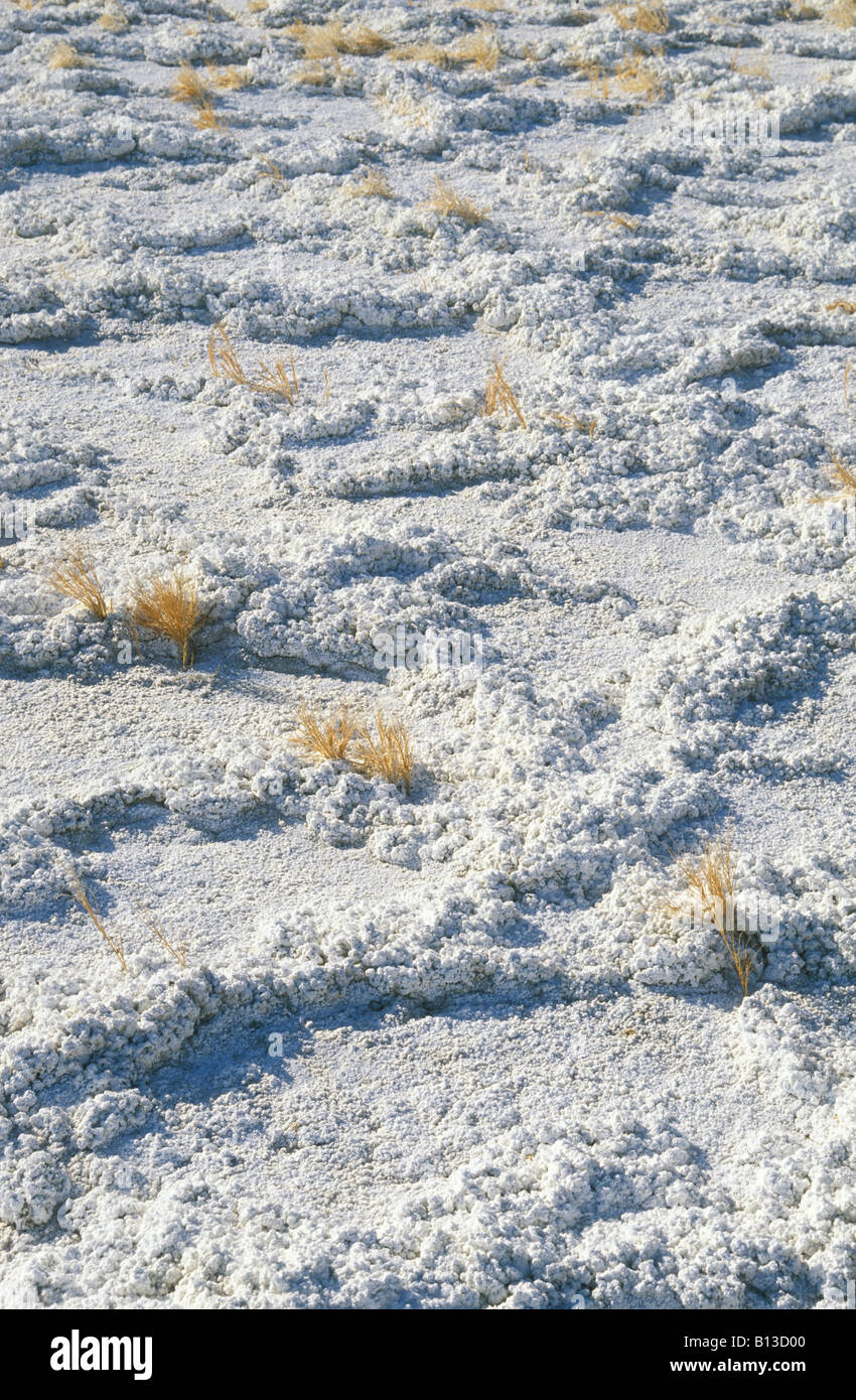 Alkali hires stock photography and images Alamy