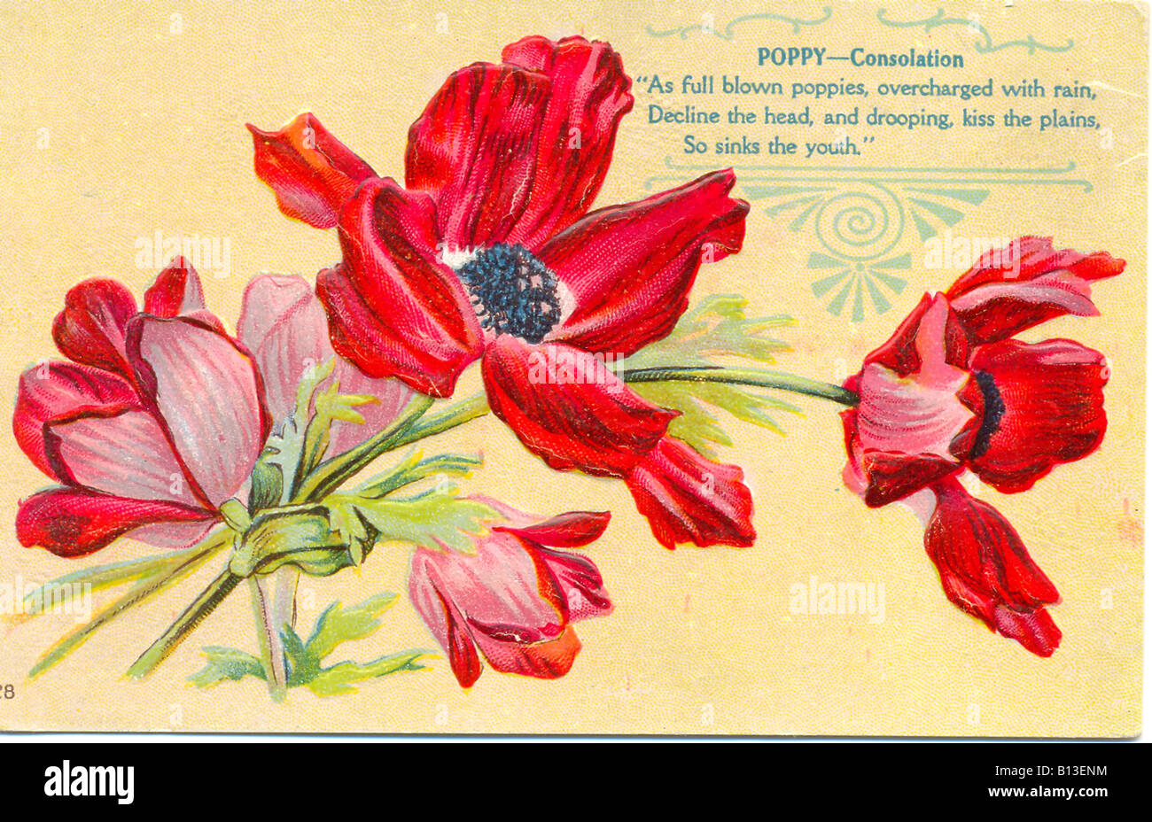 Chromolithographed and embossed picture postcard of poppies representing 'Consolation' circa 1905 Stock Photo