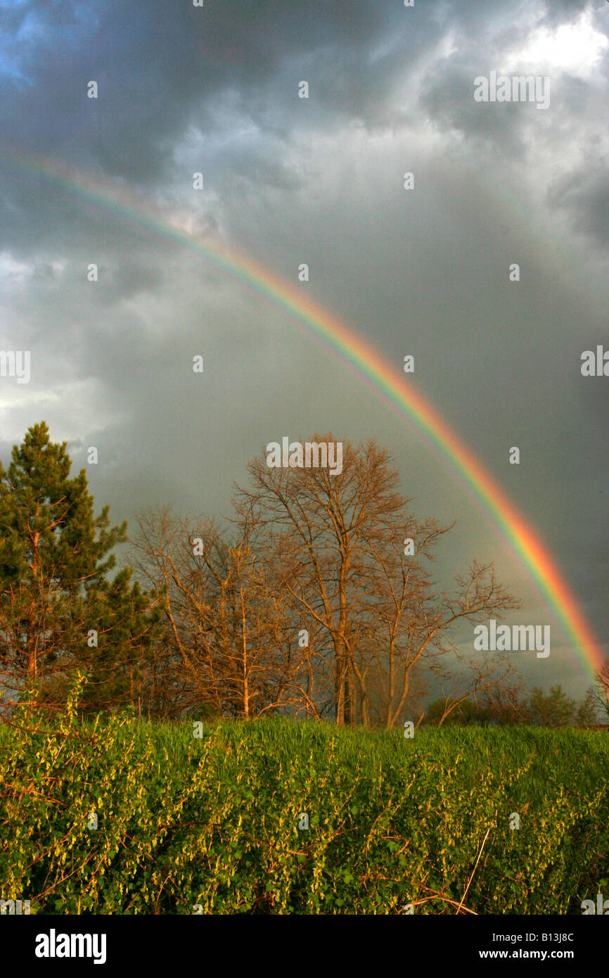 rainbow after a rain storm Stock Photo Alamy