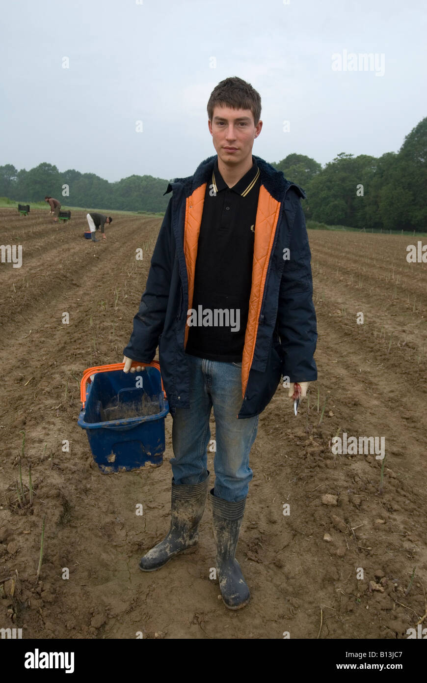 Asparagus picker hires stock photography and images Alamy