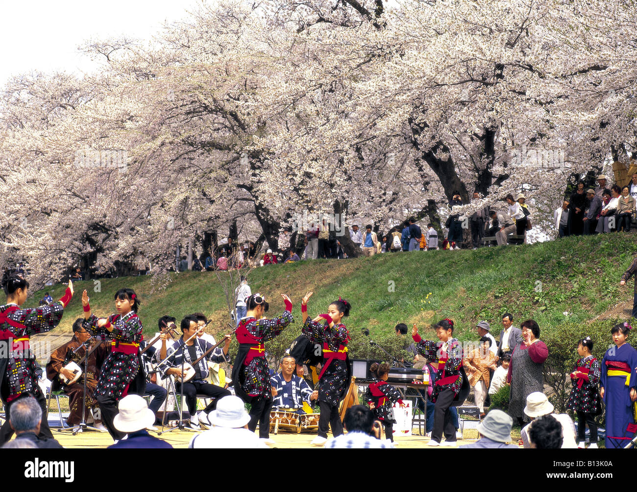 Tohoku japan cherry blossom hires stock photography and images Alamy