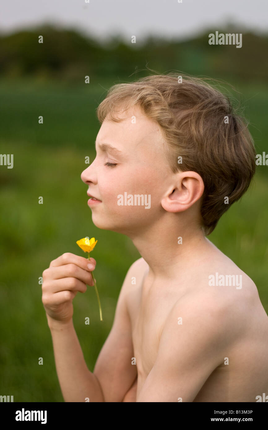 young boy in field with a buttercup Stock Photo Alamy