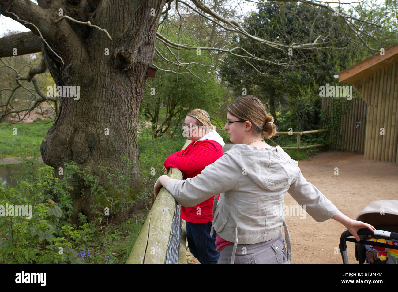 Two with a baby in a push chair at the Zoo Stock Photo