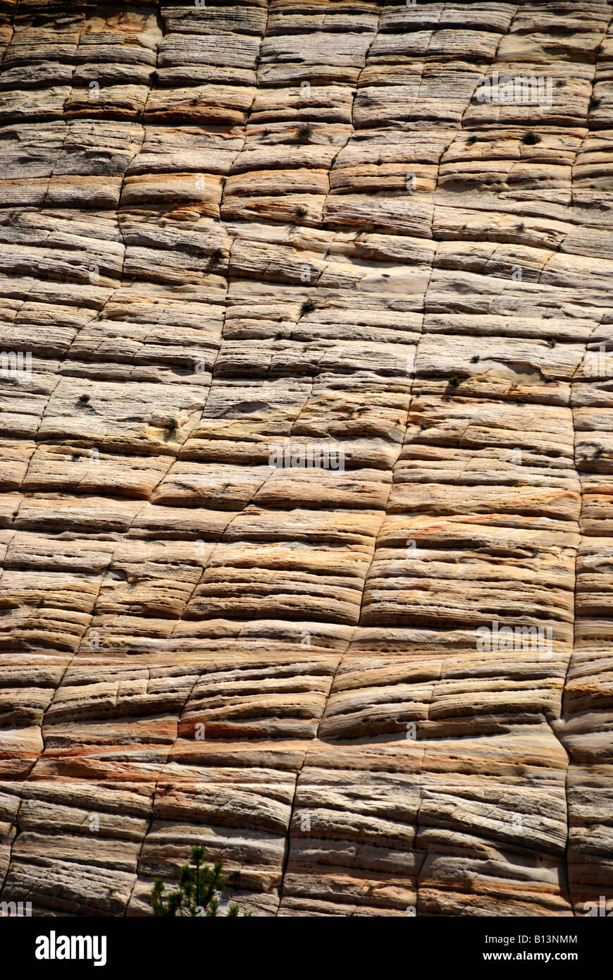 Checkerboard formation hi-res stock photography and images - Alamy