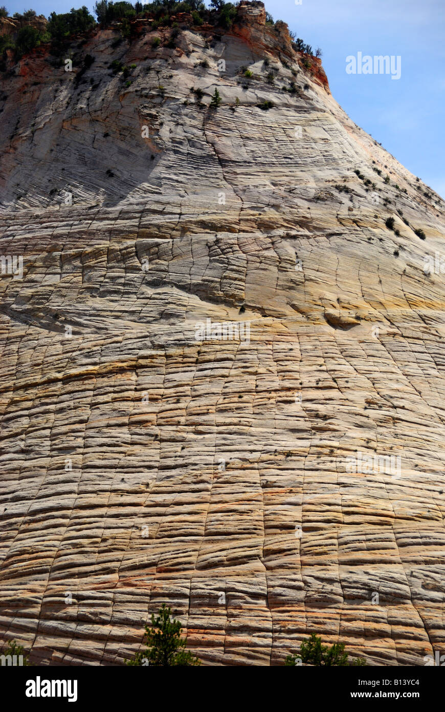 Checkerboard formation hi-res stock photography and images - Alamy