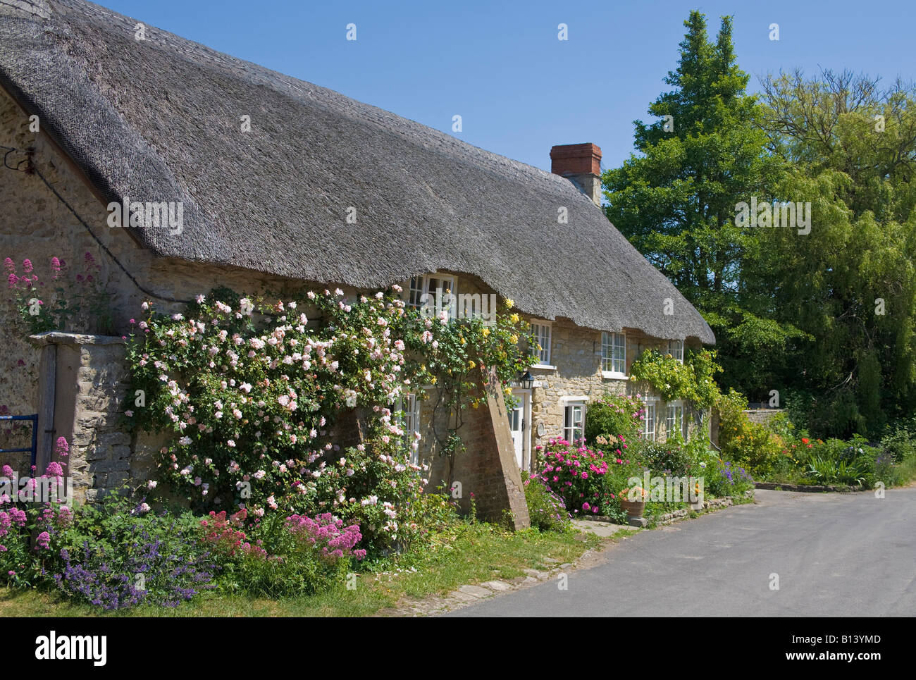 Thatched Cottage Burton Bradstock Dorset England Stock Photo