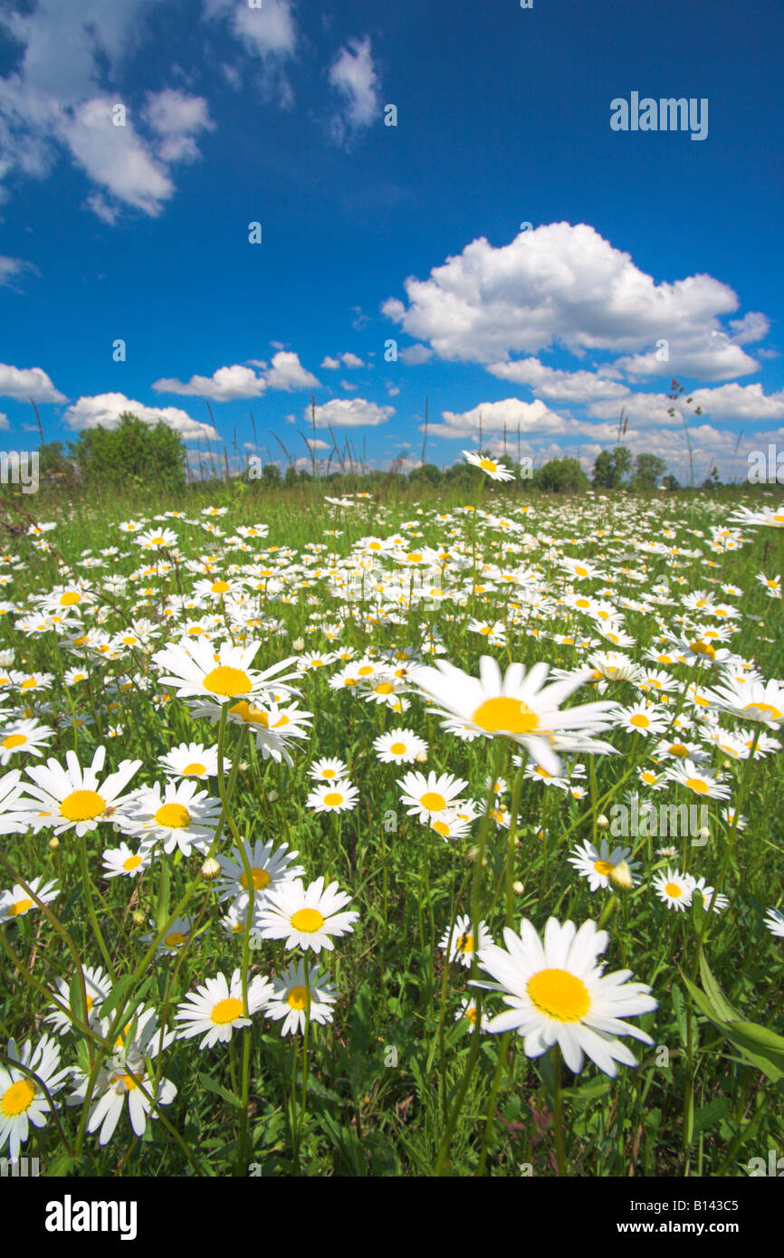 Spring In Poland Spring landscape Poland Stock Photo - Alamy