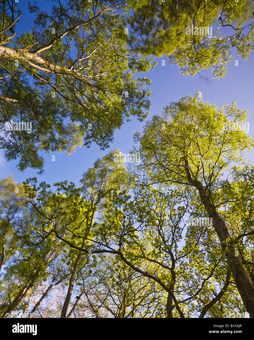 High Resolution Stock Photography and Images Alamy