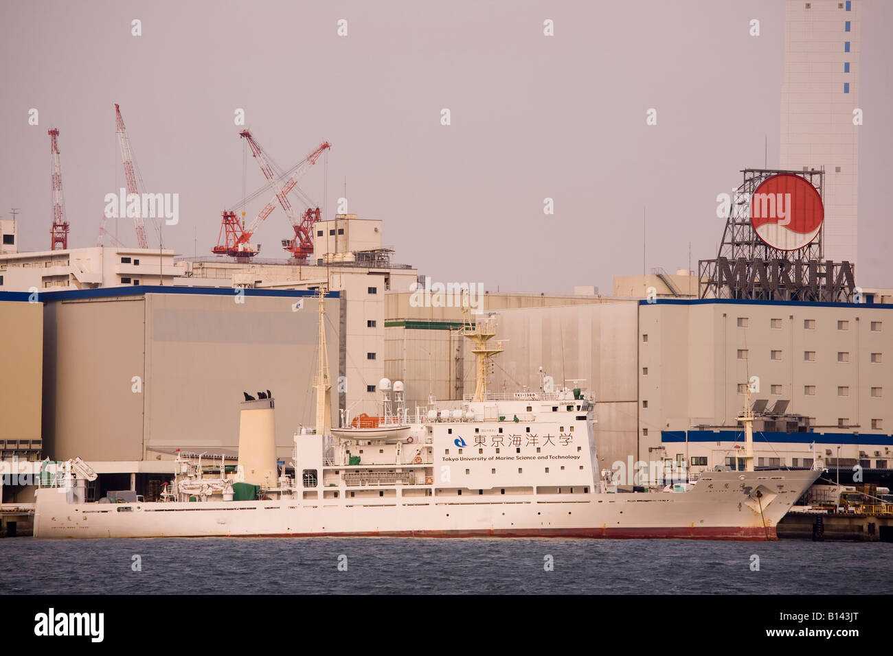 A research vessel of the Tokyo University of marine science and technology is docked in Tokyo Bay, Japan. Stock Photo