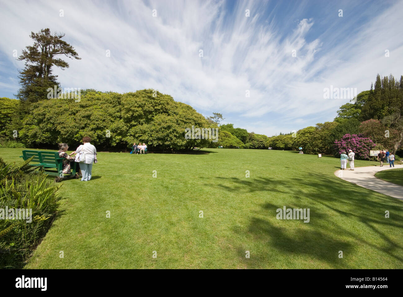 heligan gardens Stock Photo