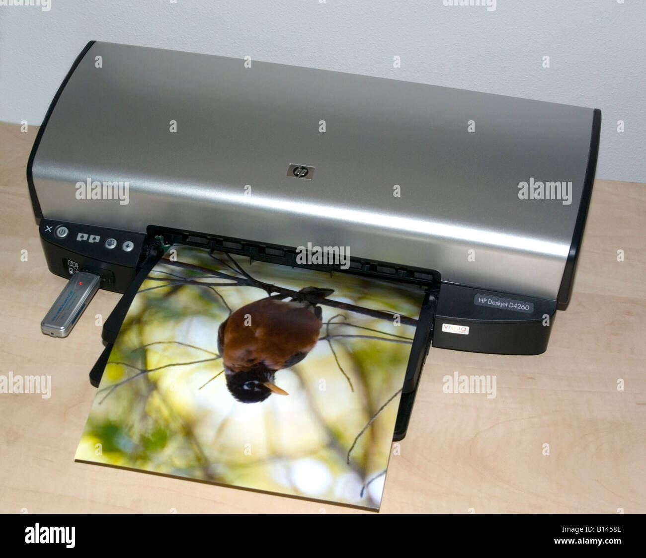 colour inkjet printer printing color photo Stock Photo