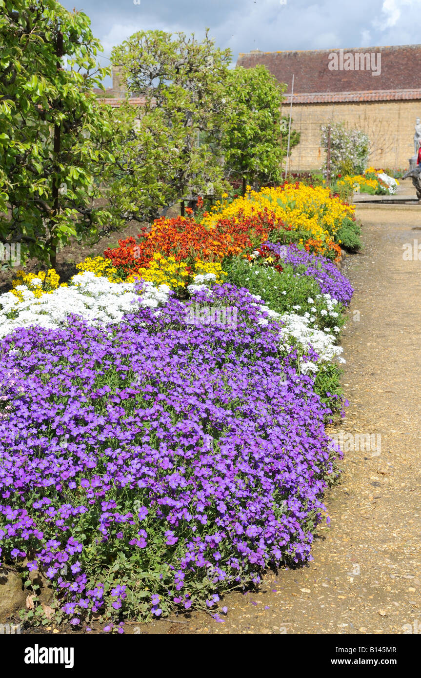 Plants for herbacious border hires stock photography and images Alamy