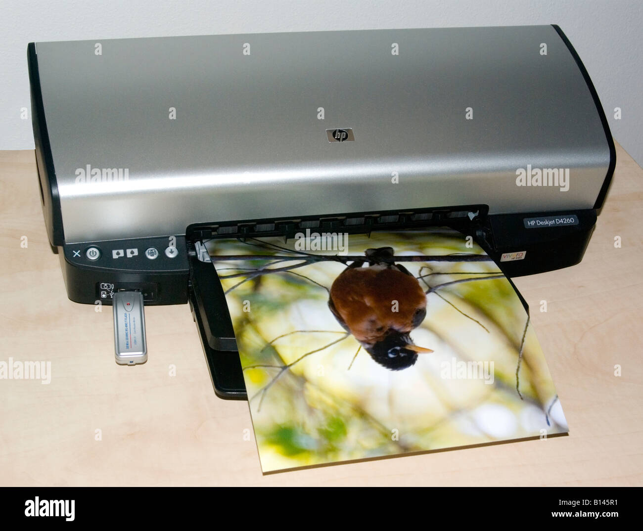 colour inkjet printer printing color photo Stock Photo