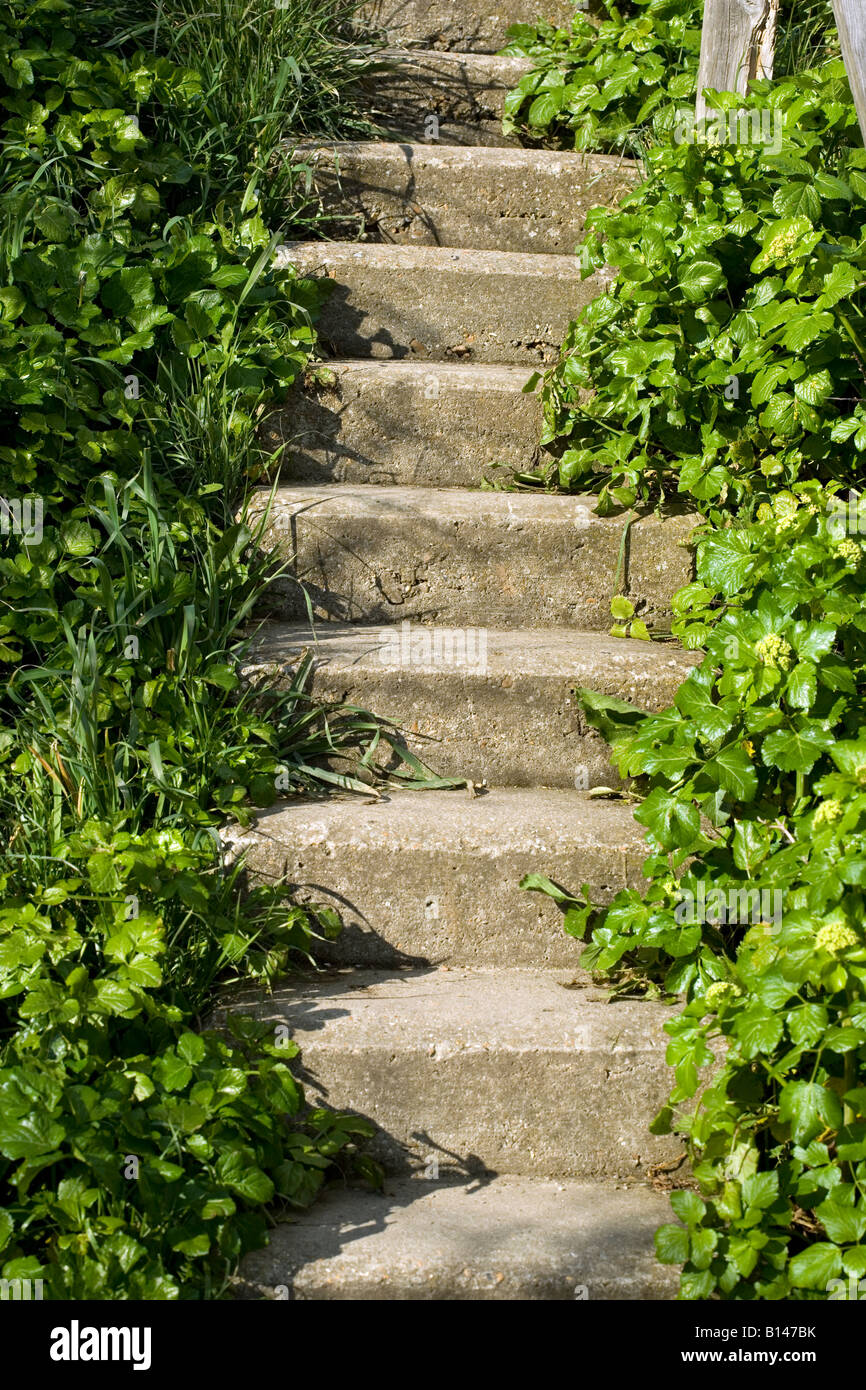 Stone steps and overgrown weeds Stock Photo